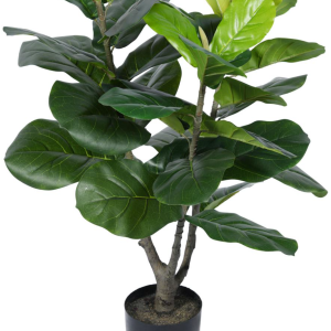 https://www.ogiinteriors.com/wp-content/uploads/2024/12/GREEN-APPLE-300x300.png