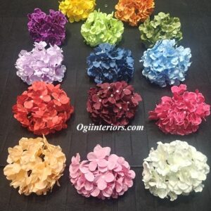 oplus_3145760
