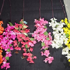https://www.ogiinteriors.com/wp-content/uploads/2026/06/Bougainvillea-4-300x300.jpg