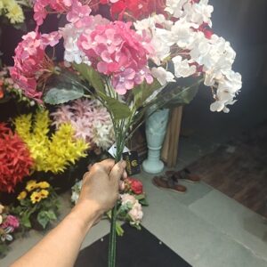 oplus_3145760