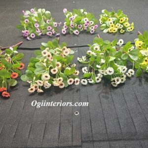 oplus_3145728