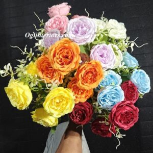 oplus_3145760