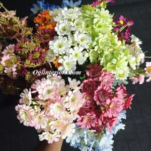 oplus_3145760